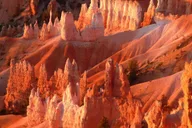 Las Vegas Antelope Canyon, Bryce, Zion Tour thumbnail 4