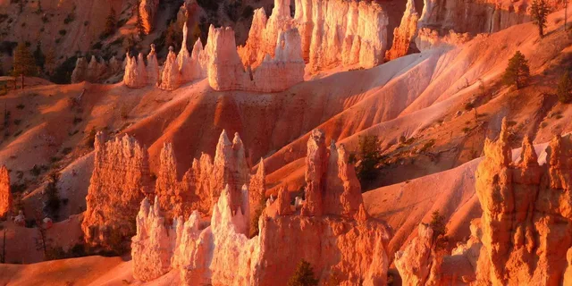 Las Vegas Antelope Canyon, Bryce, Zion Tour - Image 4