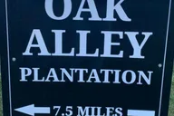 New Orleans Oak Alley Plantation Tour with Transportation thumbnail 6
