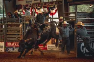 Bulverde Rodeo Experience thumbnail 1
