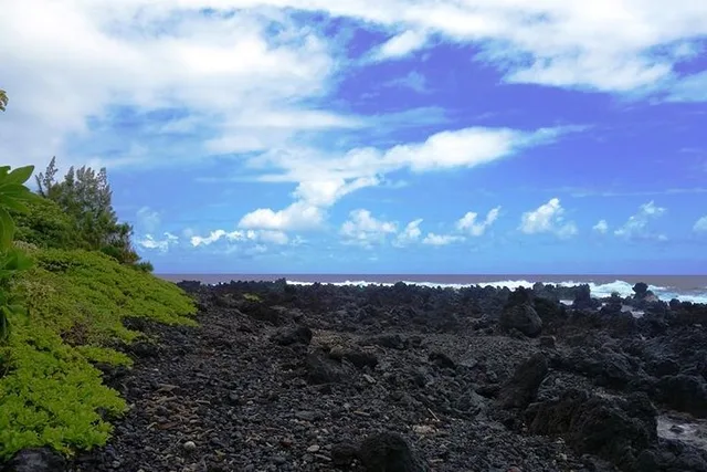 Maui Road to Hana Tour in Mercedes Van - Image 6