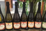San Francisco Cheese, Honey, Oysters, and Wine Tour thumbnail 6