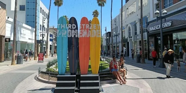 Los Angeles Sightseeing Tour by 12-Passenger Sprinter - Image 6