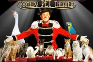 Las Vegas Comedy Pet Theater thumbnail 1