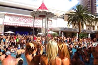 Las Vegas Pool Party Crawl by Party Bus thumbnail 4