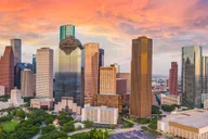Houston Airport Private Transfer to Downtown thumbnail 4