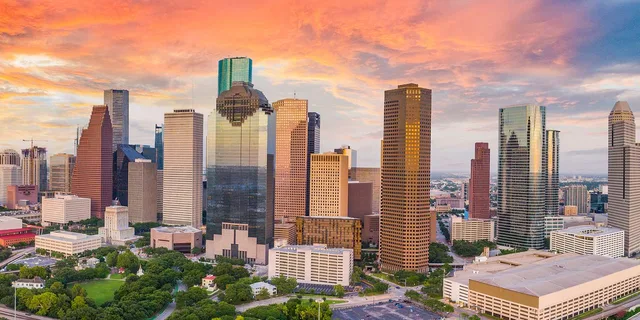 Houston Airport Private Transfer to Downtown - Image 4