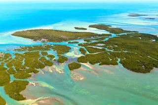 Key West Eco Tour Wildlife Refuge Adventure 3 hr