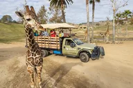 San Diego Zoo Safari Park 1-Day Pass thumbnail 5