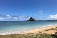 Oahu Circle Island Tour Full Day thumbnail 1