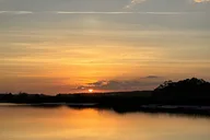 Folly Beach Dolphin Watching and Shelling Tour thumbnail 5