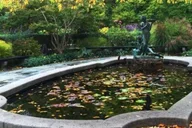 New York City Central Park Walking Tour thumbnail 6