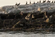Portland Sunset Lighthouse Cruise thumbnail 4
