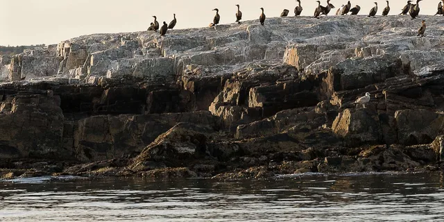 Portland Sunset Lighthouse Cruise - Image 4
