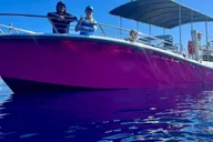 Maui Snorkel and Dolphin Adventure thumbnail 4