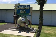 Maui to Big Island Volcano Helicopter Tour thumbnail 6