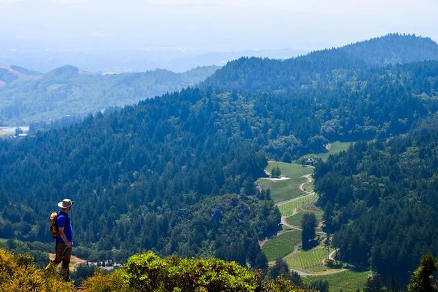 Napa Valley Wine & Wellness Tour - Image 1