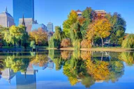 Boston Private Tour for Families thumbnail 3