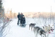 Borealis Basecamp Dogsled and Reindeer Day Trip thumbnail 1