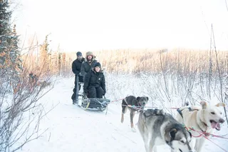 Borealis Basecamp Dogsled and Reindeer Day Trip