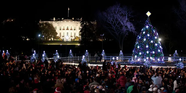 Washington, DC Holiday Lights Bus Tour - Image 6