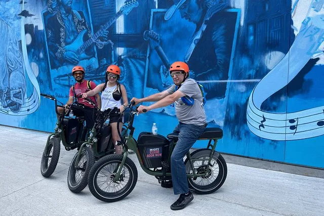 Dallas Electric Bike Rental - Image 6