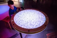 San Francisco Exploratorium Daytime Admission thumbnail 2