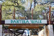 San Antonio Zoo Admission Ticket thumbnail 5