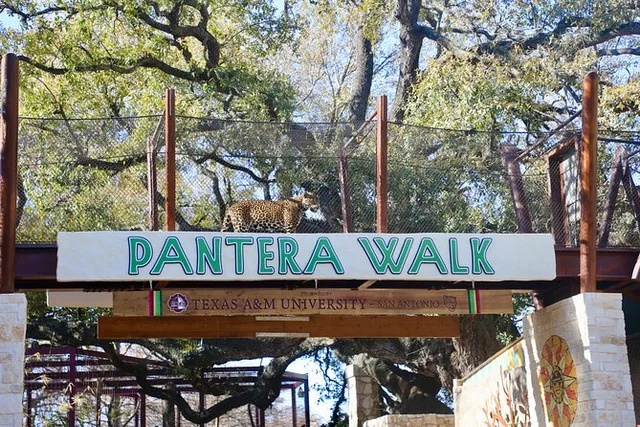 San Antonio Zoo Admission Ticket - Image 5