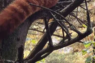 New York Central Park Zoo Tour with Hotel Pickup thumbnail 5