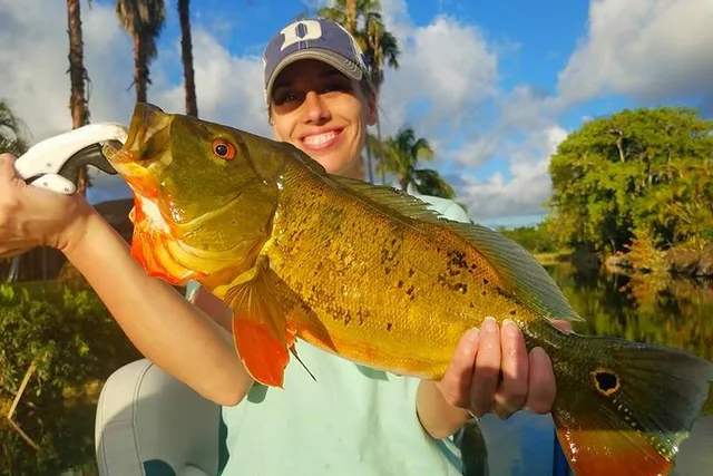 Miami Peacock Bass Fishing Trip - Image 5