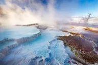 Yellowstone Wildlife Biologist Tour thumbnail 4