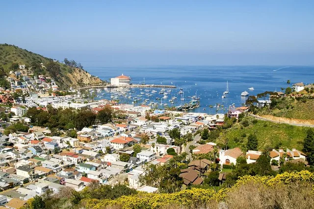 Catalina Island Trip with Hotel Transfers - Image 2