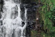 Hilo Waterfall Rappelling at Kulaniapia Falls thumbnail 1