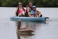 Naples Marco Island Mangroves Kayak Tour thumbnail 3