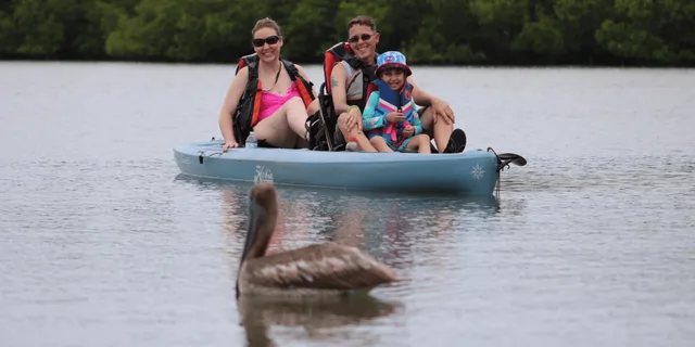 Naples Marco Island Mangroves Kayak Tour - Image 3