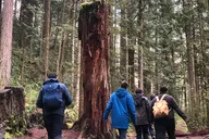 Seattle Snoqualmie Falls and Twin Falls Hike thumbnail 3