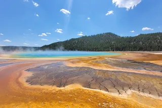 Yellowstone Private Tour