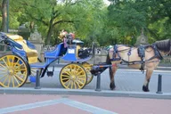 New York Central Park Horse-Drawn Carriage Ride thumbnail 1