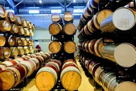 Santa Barbara Wine Tasting Tour from Los Angeles thumbnail 3