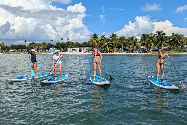 Miami Biscayne Bay Paddle - Image 1