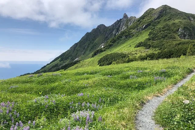Sitka Hiking Tour - Image 2
