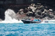 Kailua-Kona Snorkeling Adventure at Kealakekua Bay 5 hr thumbnail 1