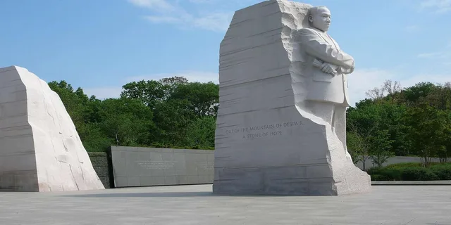 Washington DC Sightseeing Tour 4 hr - Image 5