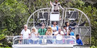 Miami Everglades Airboat Tour 4 hr