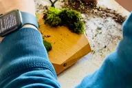 San Francisco Floating Terrarium Workshop thumbnail 3