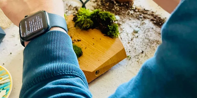 San Francisco Floating Terrarium Workshop - Image 3