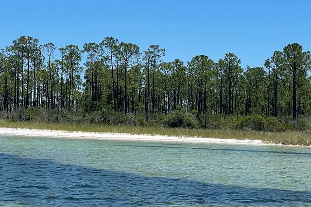 Panama City Beach Dolphin and Eco Tour - Image 6