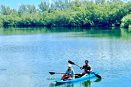 Miami Paddleboard or Kayak Tour in Manatee Season thumbnail 3