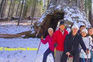 San Francisco Yosemite National Park Private Tour thumbnail 5